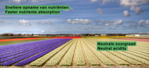 Organiqsense - Faster nutrients absorption